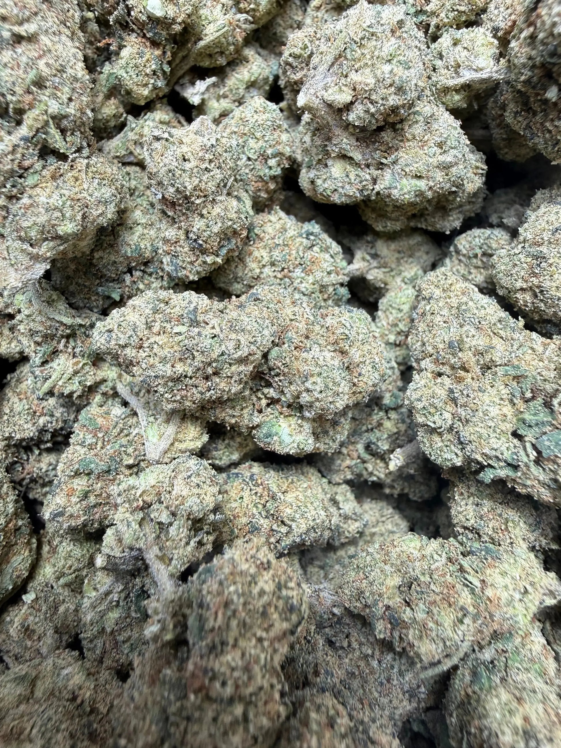 1/4 Pound -  Peanut Butter Souffle THCA Strain Frisco Labs