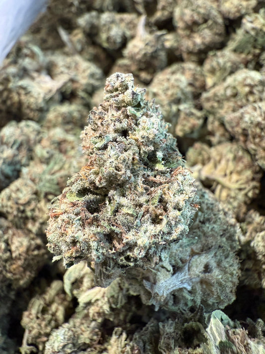 1 Pound Pistachio Creme THCA FL Fulfillment Center