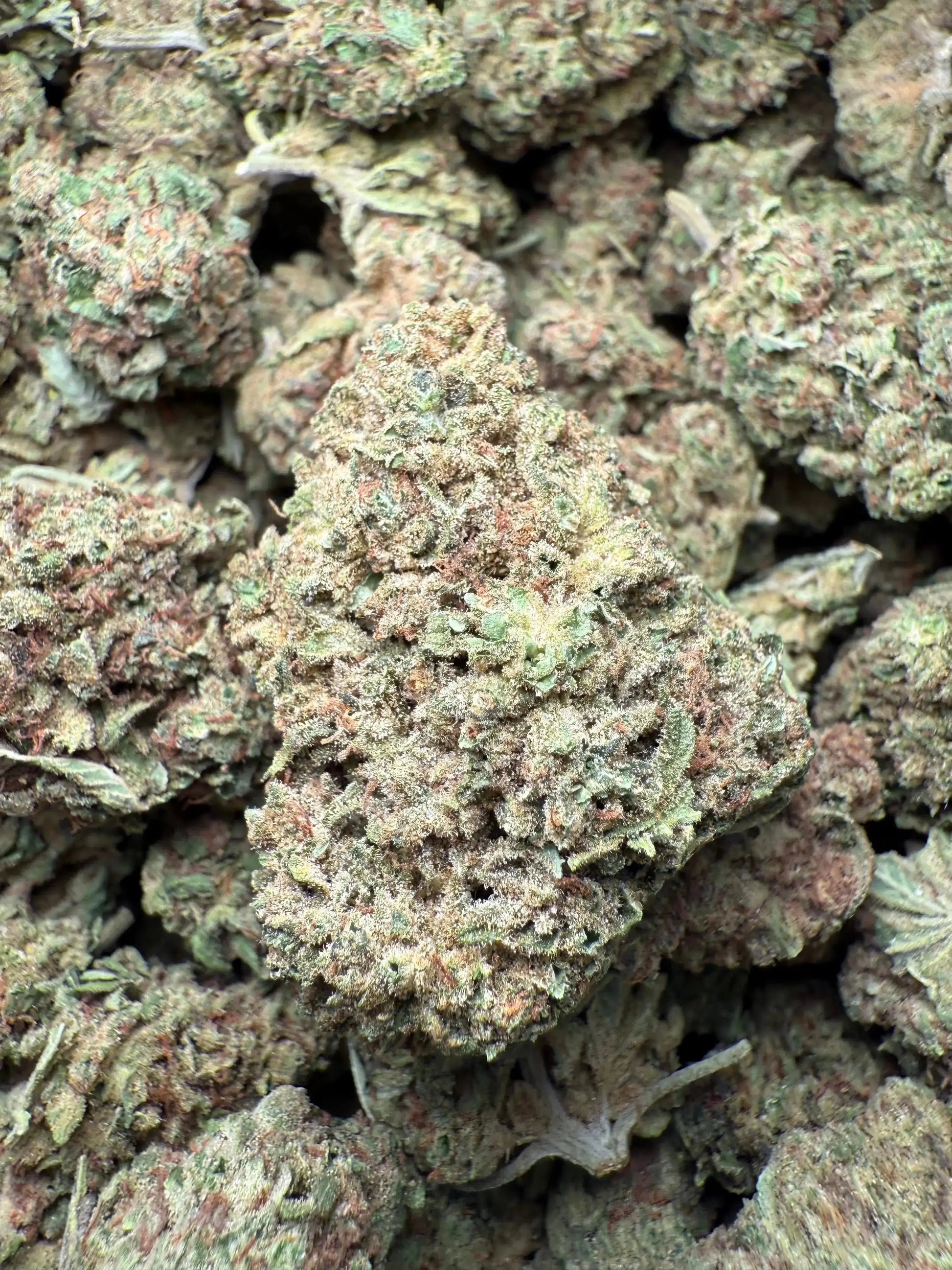 1 Pound Romulan Blueberry THCA FL Fulfillment Center