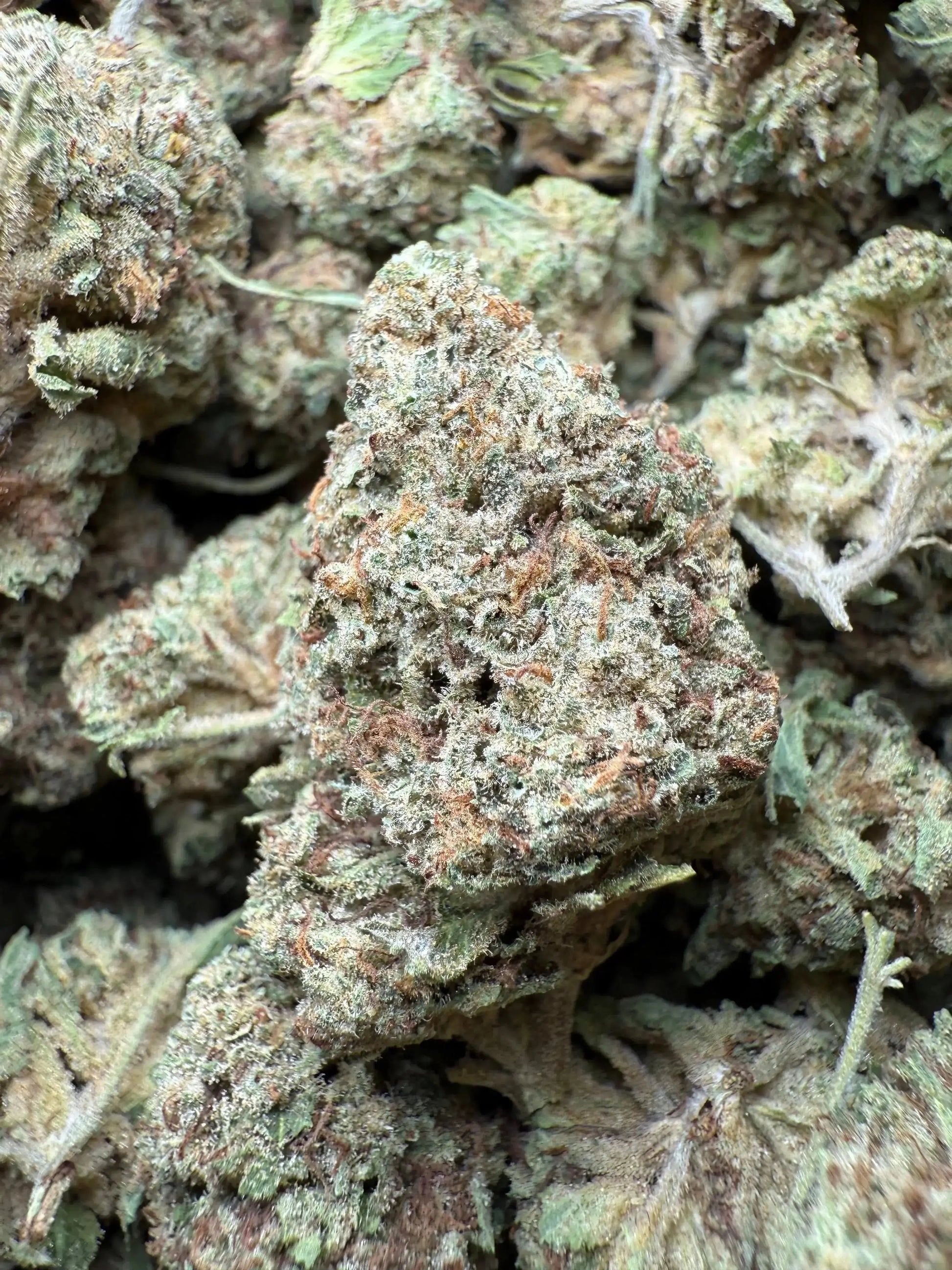 1 Pound Romulan Blueberry THCA FL Fulfillment Center