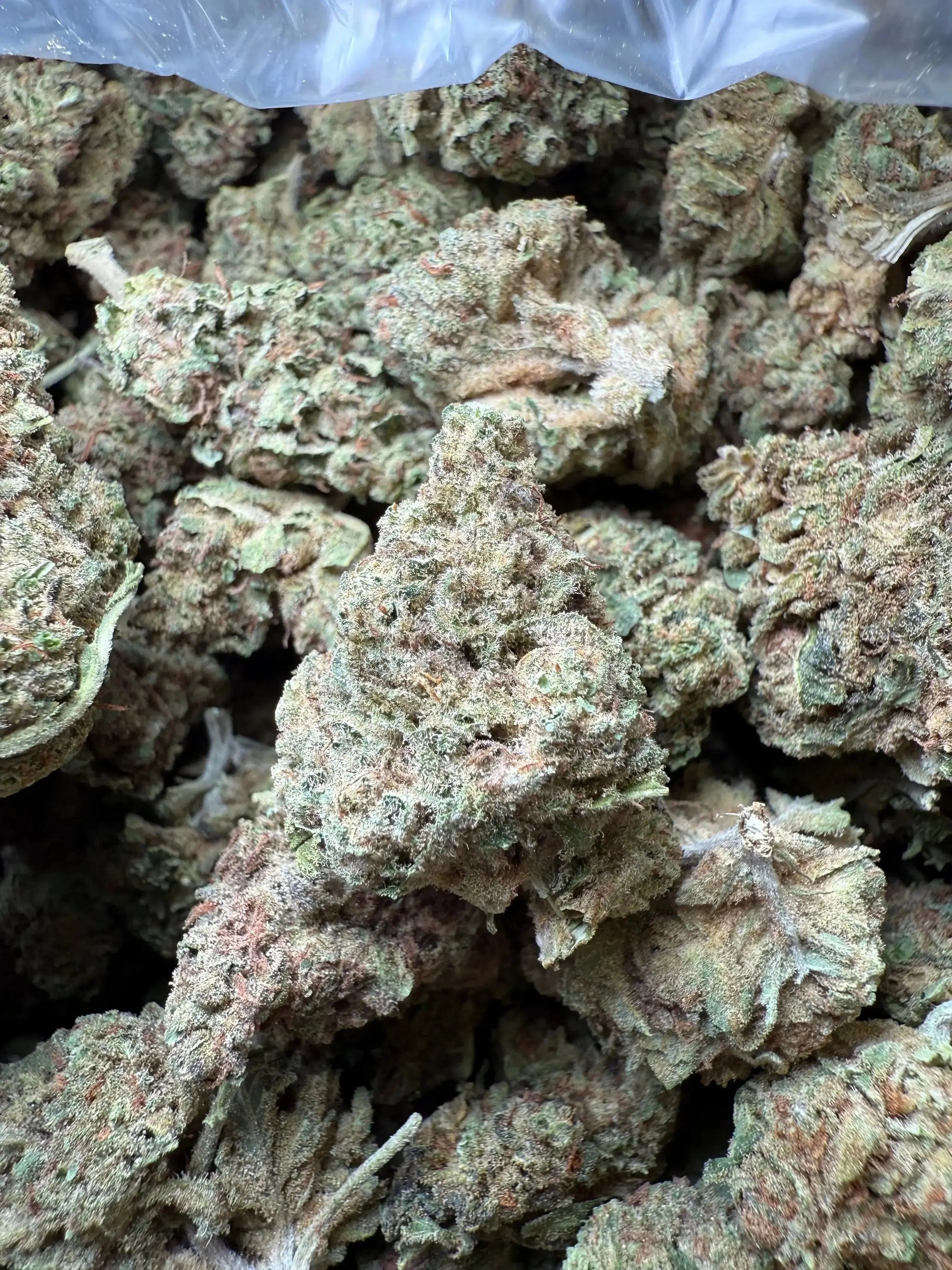 1 Pound Romulan Blueberry THCA FL Fulfillment Center