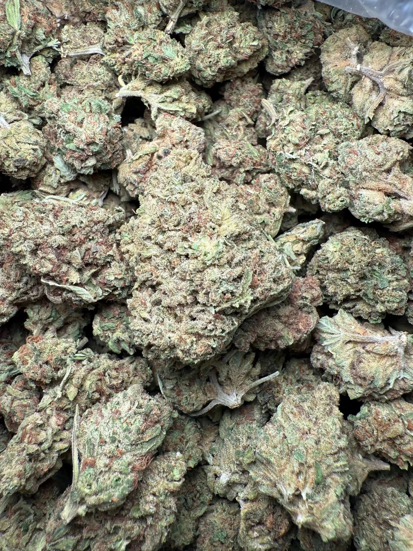 1 Pound Romulan Blueberry THCA FL Fulfillment Center