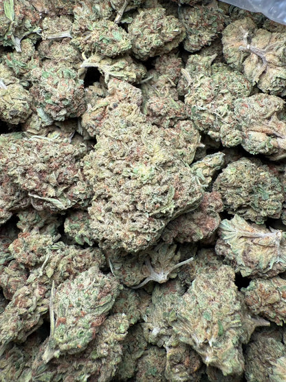 1 Pound Romulan Blueberry THCA FL Fulfillment Center