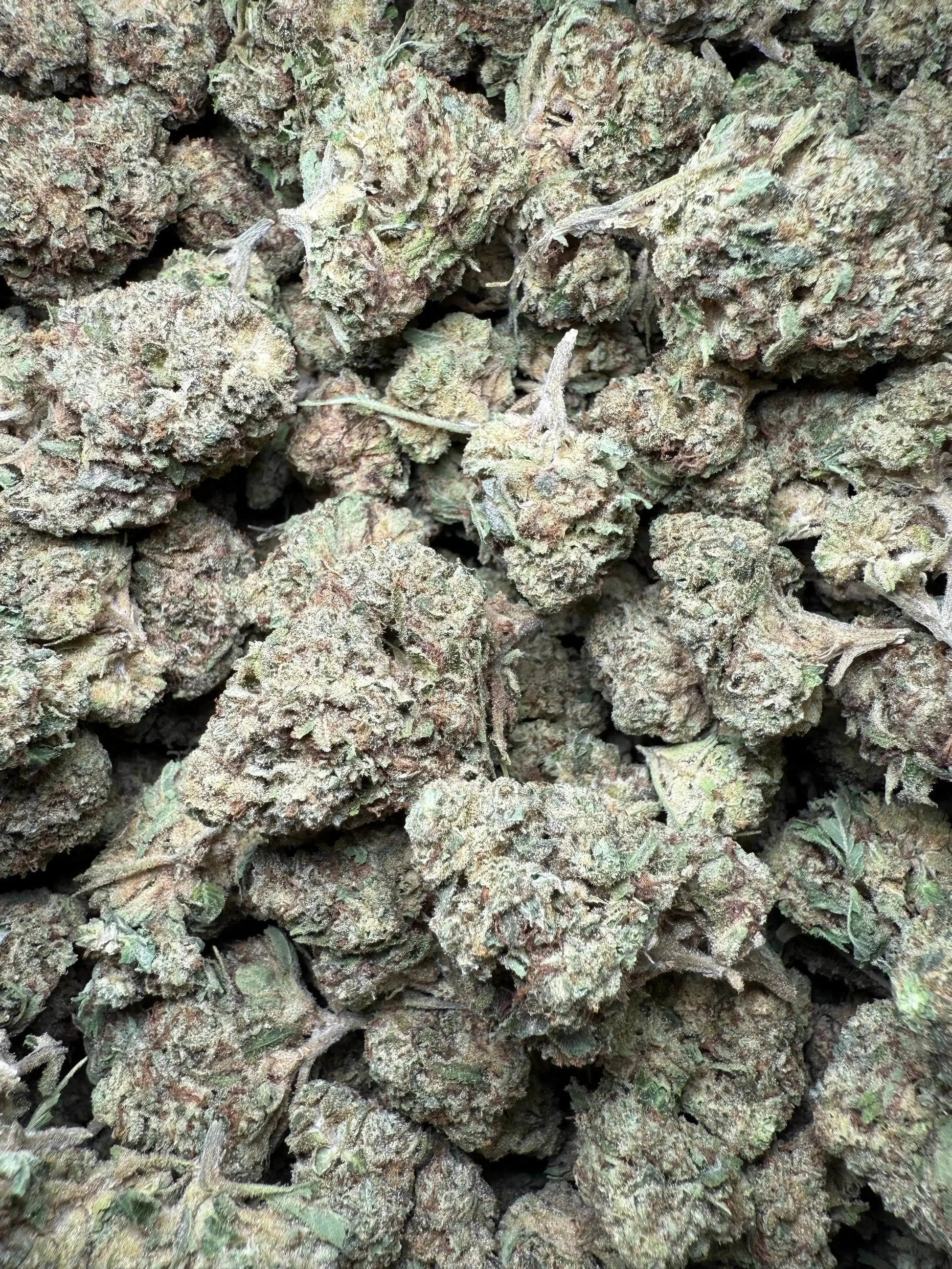 1 Pound Romulan Blueberry THCA FL Fulfillment Center