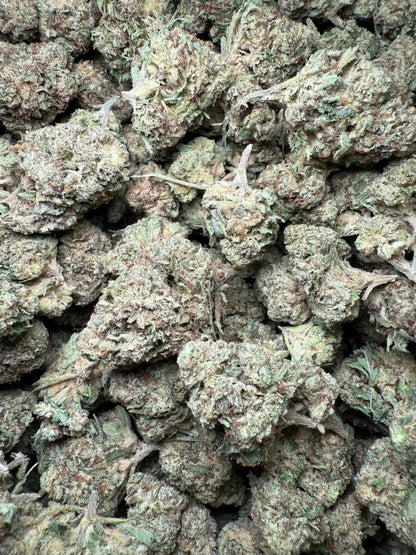 1 Pound Romulan Blueberry THCA FL Fulfillment Center