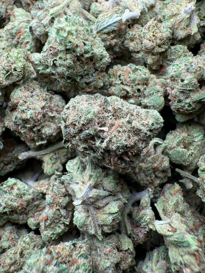 1 Pound Romulan Blueberry THCA (Small) FL Fulfillment Center