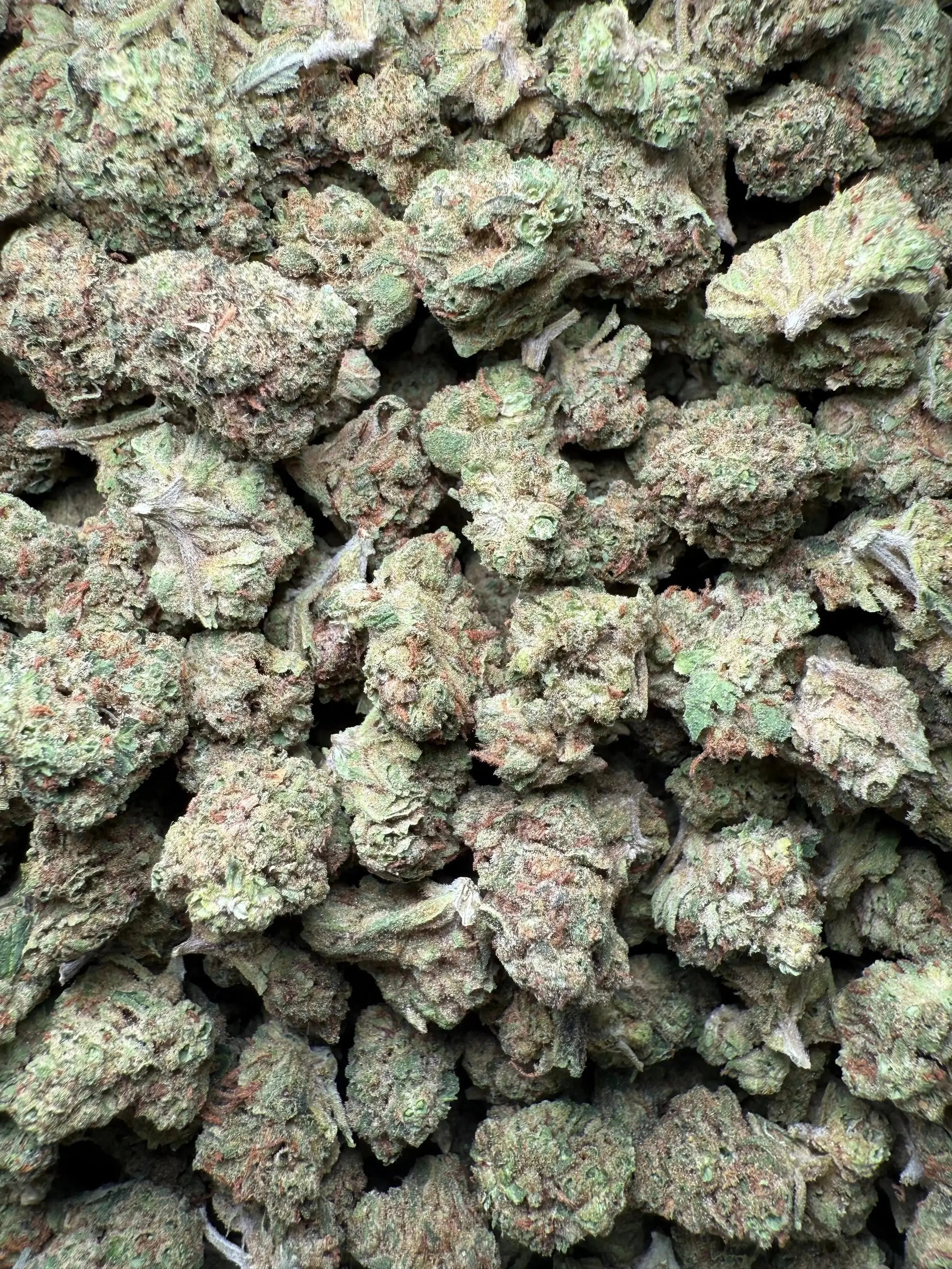 1 Pound Romulan Blueberry THCA (Small) FL Fulfillment Center