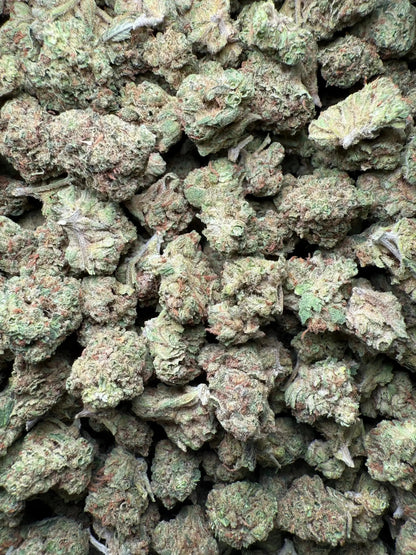 1 Pound Romulan Blueberry THCA (Small) FL Fulfillment Center