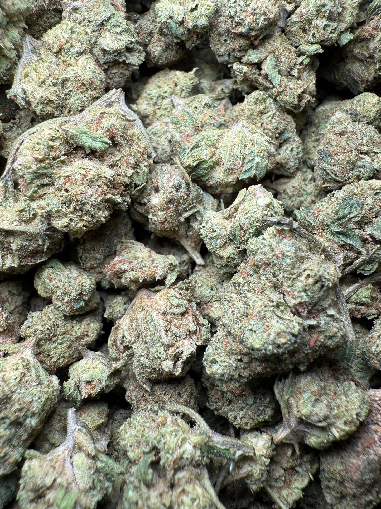 1 Pound - Zkittlez Kush THCA Strain Frisco Labs