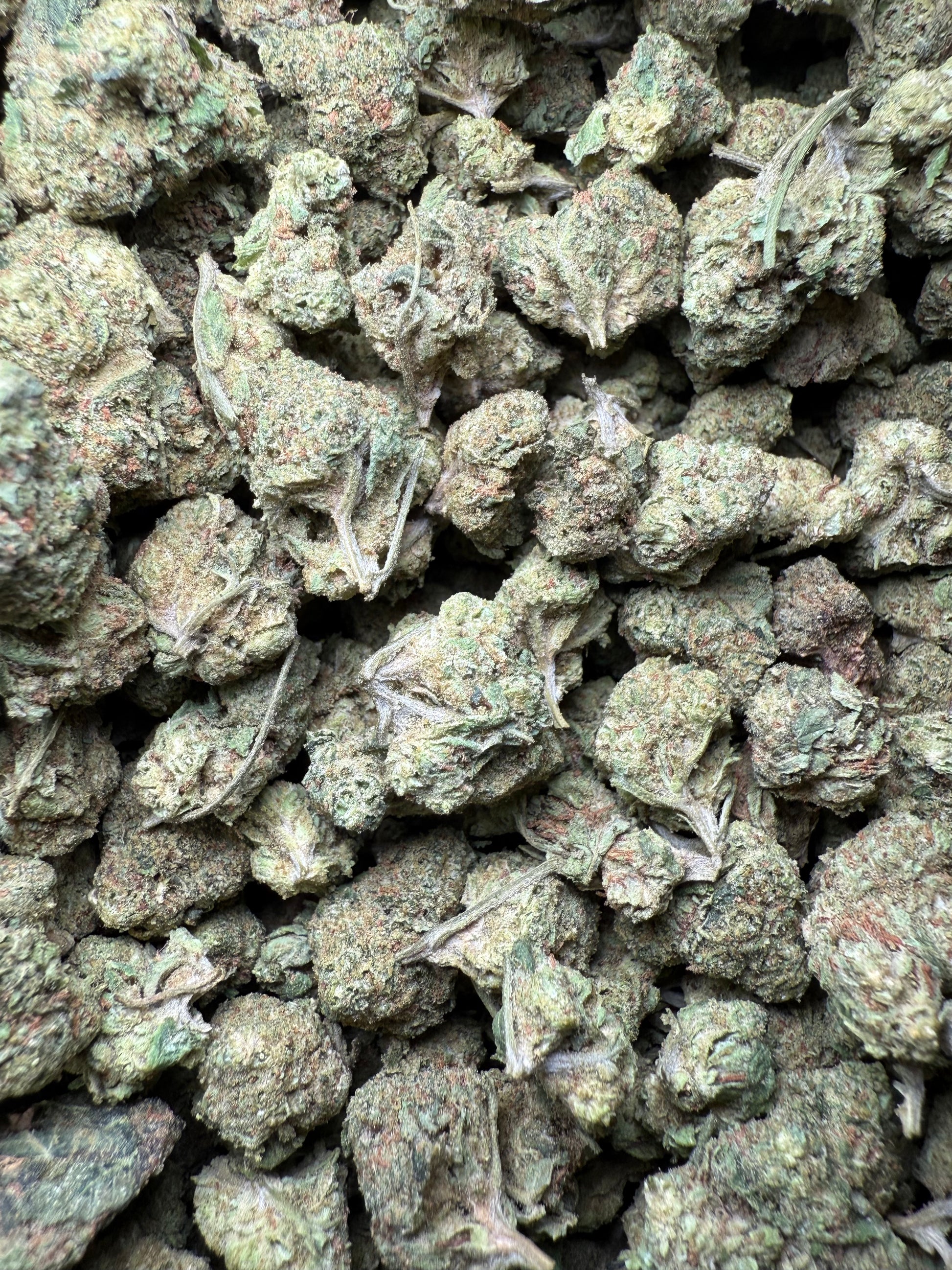 1 Pound - Zkittlez Kush THCA Strain Frisco Labs