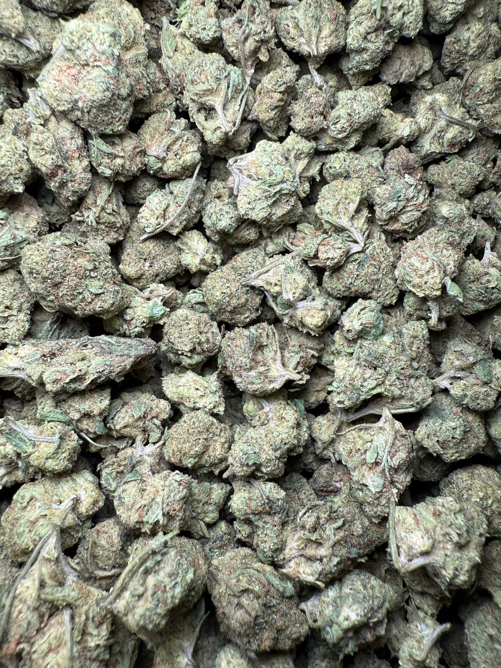 1 Pound - Zkittlez Kush THCA Strain Frisco Labs