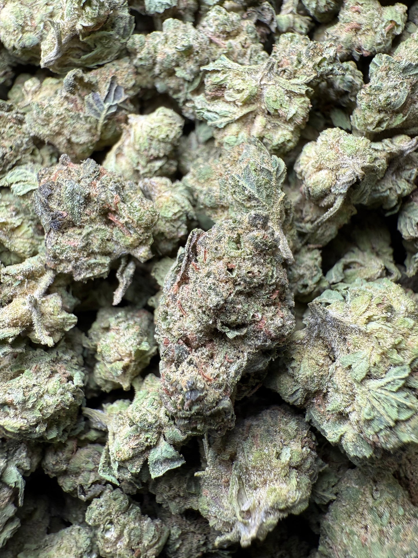 1 Pound - Double Burger THCA Strain (Small) Frisco Labs