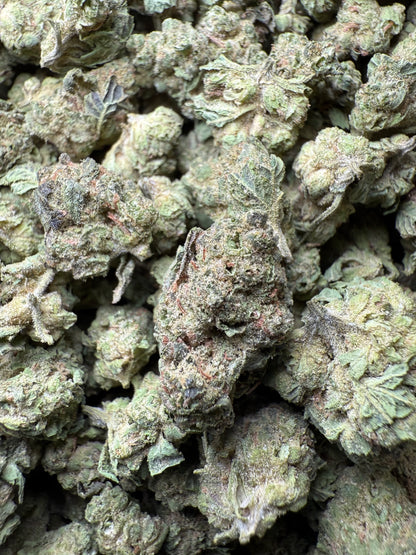 1 Pound - Double Burger THCA Strain (Small) Frisco Labs