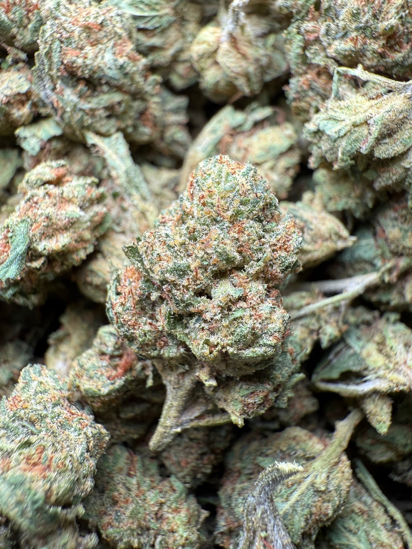 1 Pound - Fruity Pebbles OG THCA Strain (Small) Frisco Labs