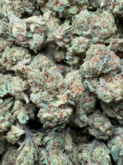 1 Pound - Fruity Pebbles OG THCA Strain (Small) Frisco Labs