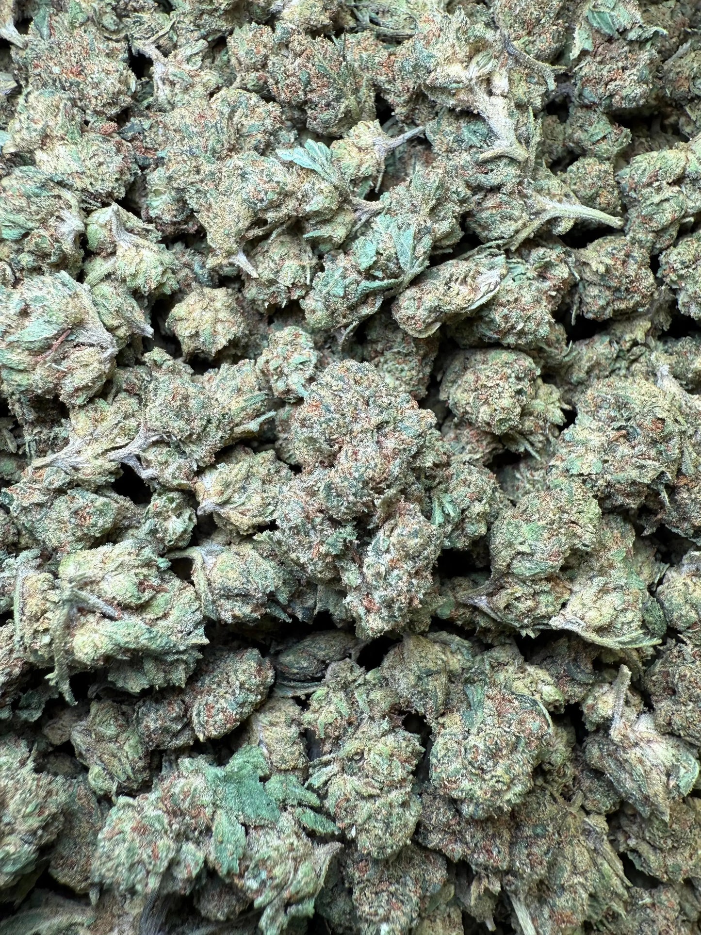 1 Pound - Frozen Lemons THCA Strain (Smalls) Frisco Labs