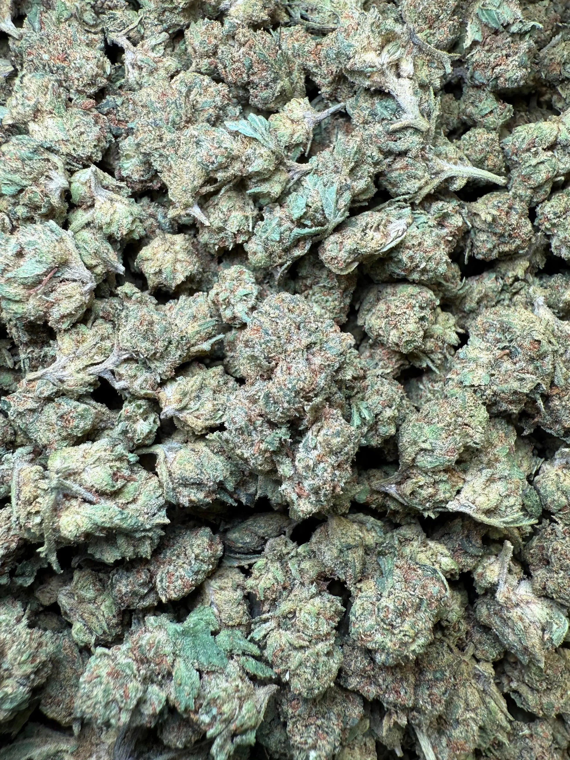 1 Pound - Frozen Lemons THCA Strain (Smalls) Frisco Labs