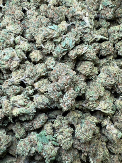 1 Pound - Frozen Lemons THCA Strain (Smalls) Frisco Labs