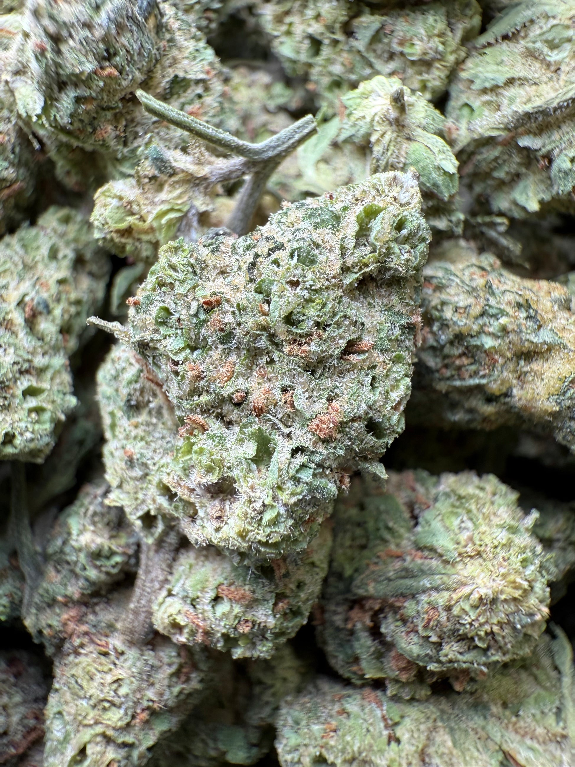 1 Pound - LA Push Pops THCA Strain (Smalls) Frisco Labs