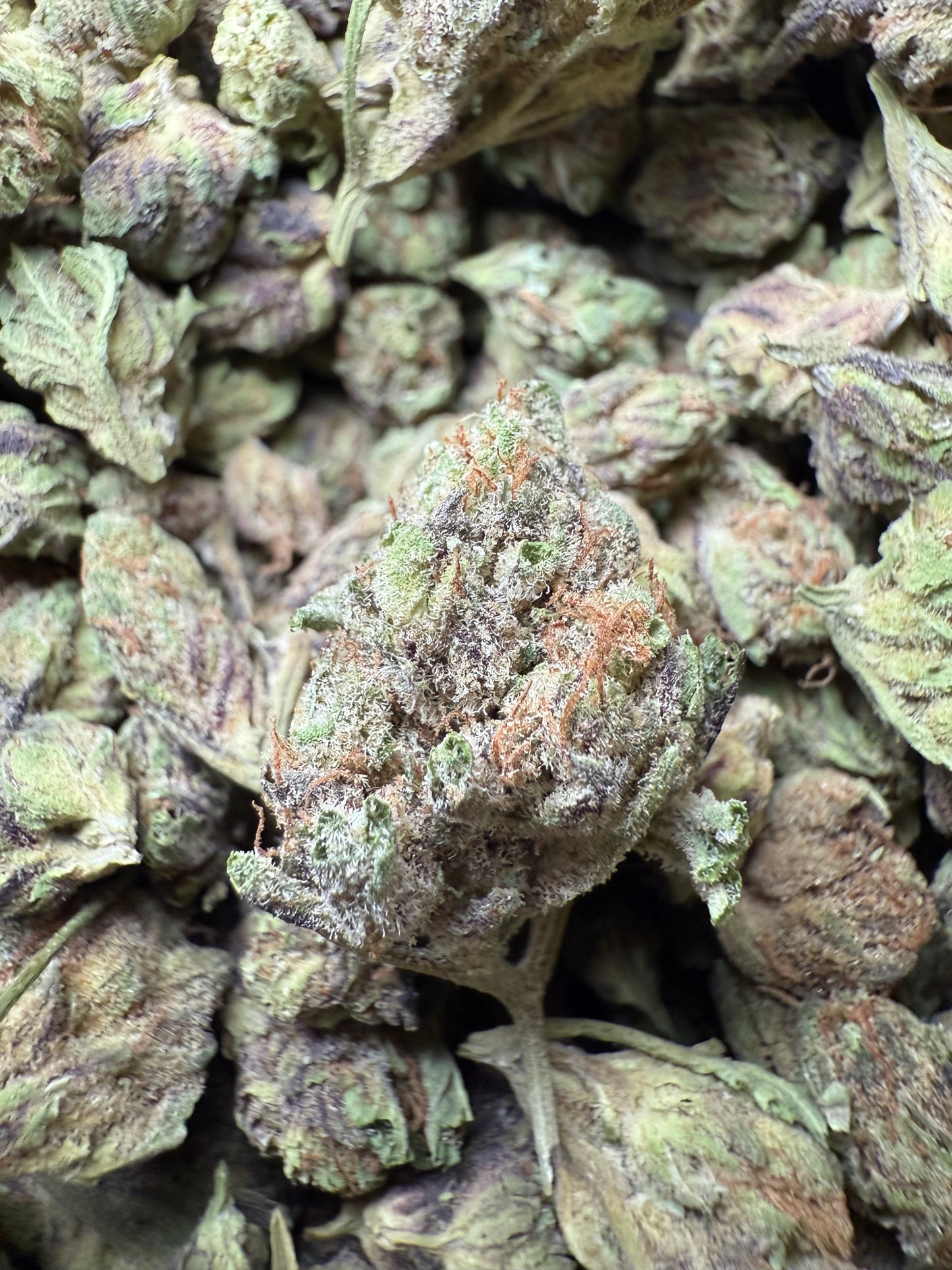 1 Pound - Abuela THCA Strain (Small) Frisco Labs