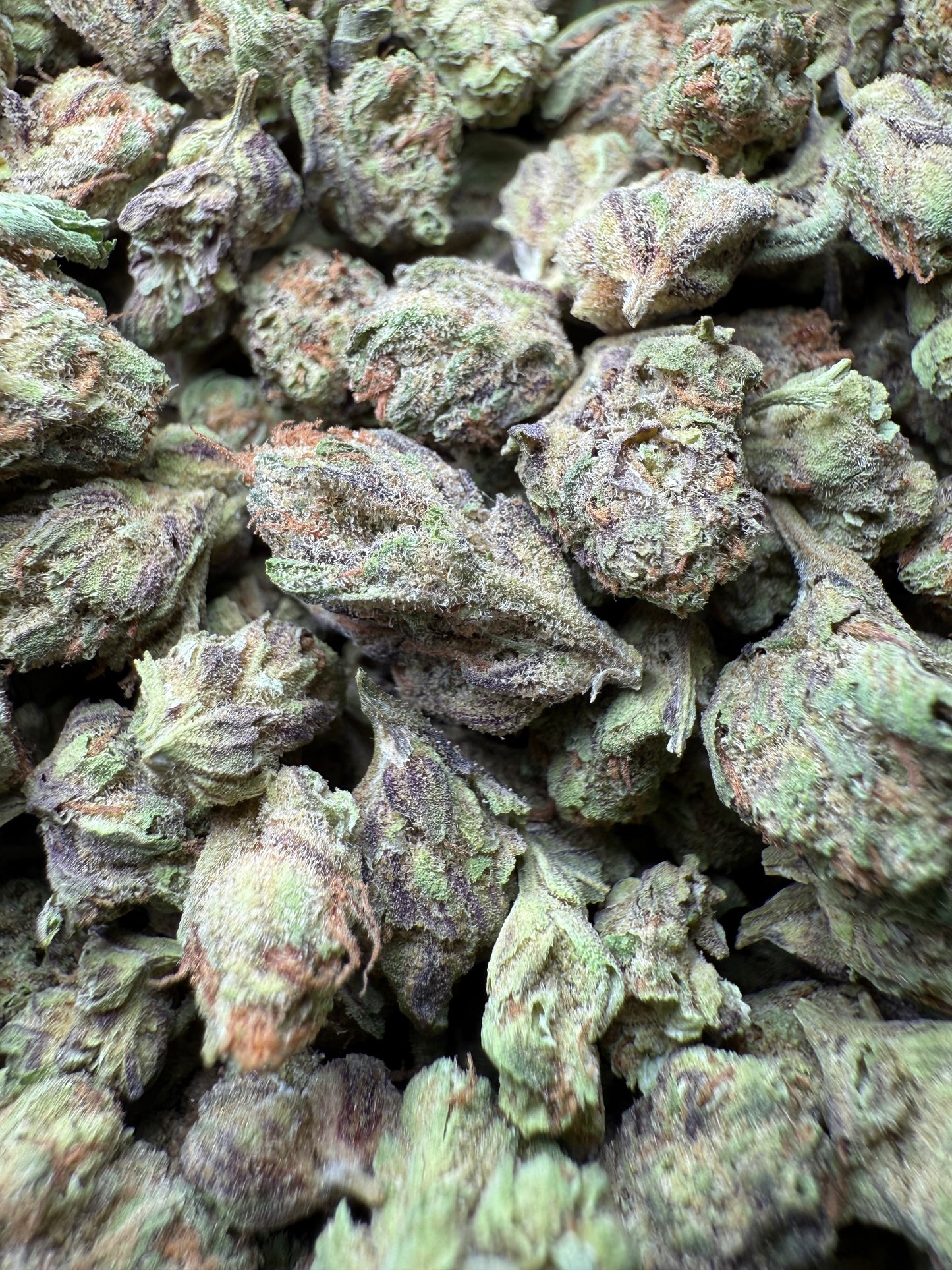 1 Pound - Abuela THCA Strain (Small) Frisco Labs