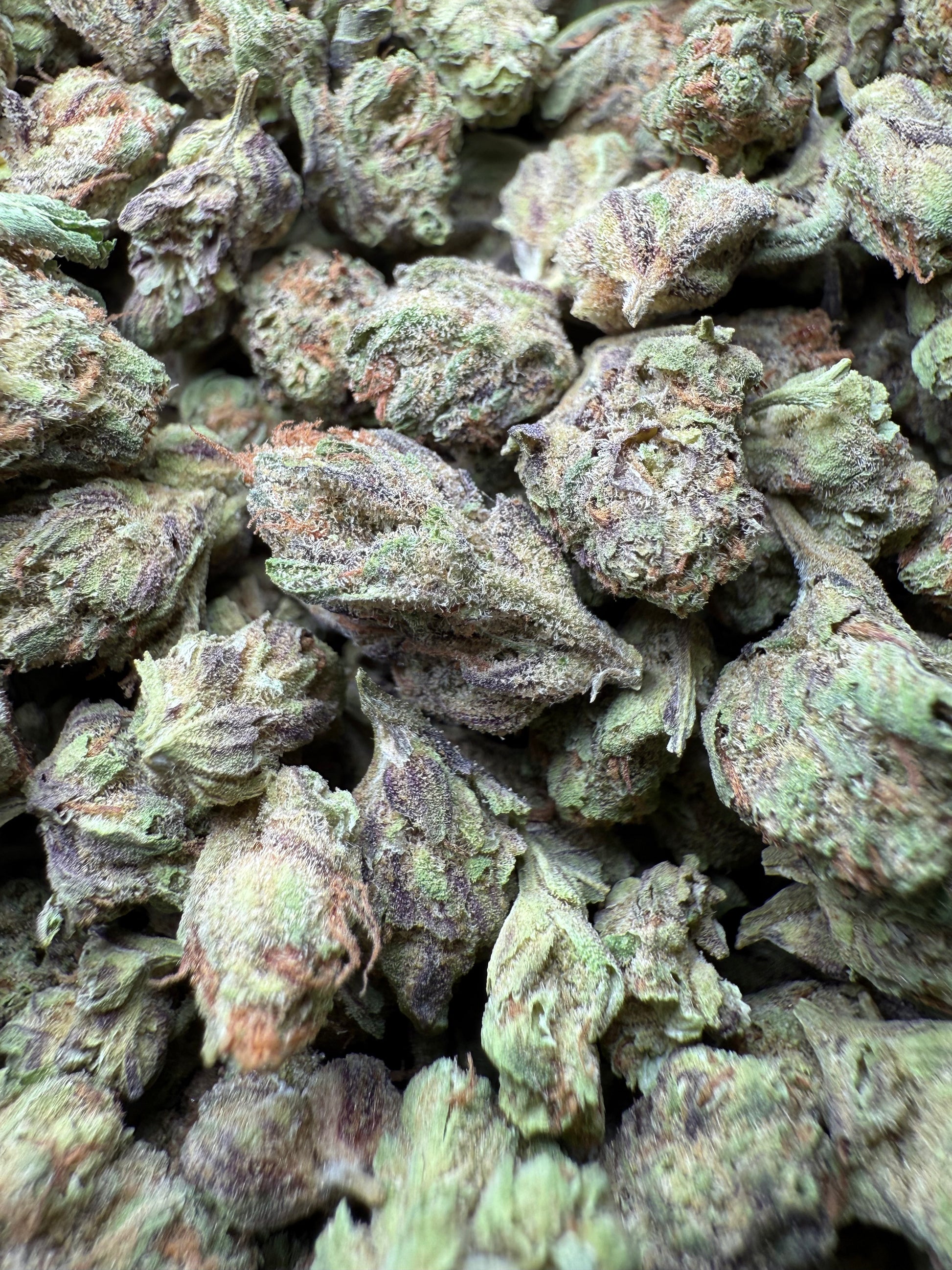 1 Pound - Abuela THCA Strain (Small) Frisco Labs