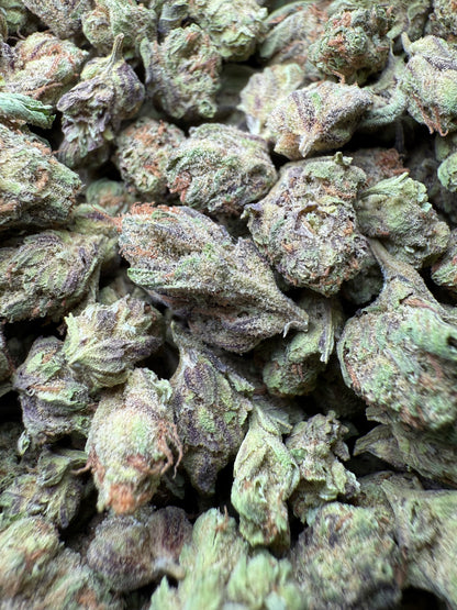 1 Pound - Abuela THCA Strain (Small) Frisco Labs