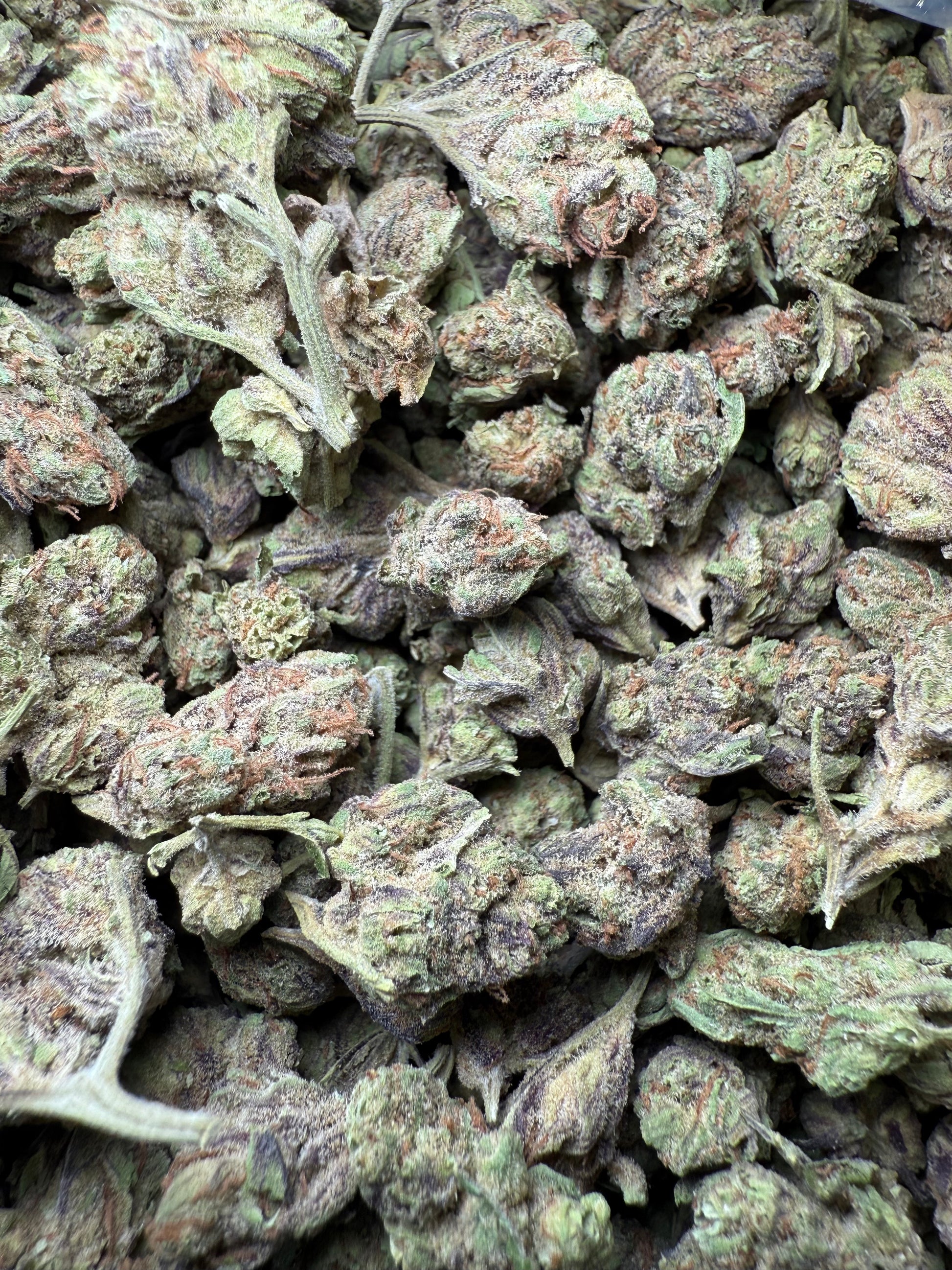 1 Pound - Abuela THCA Strain (Small) Frisco Labs