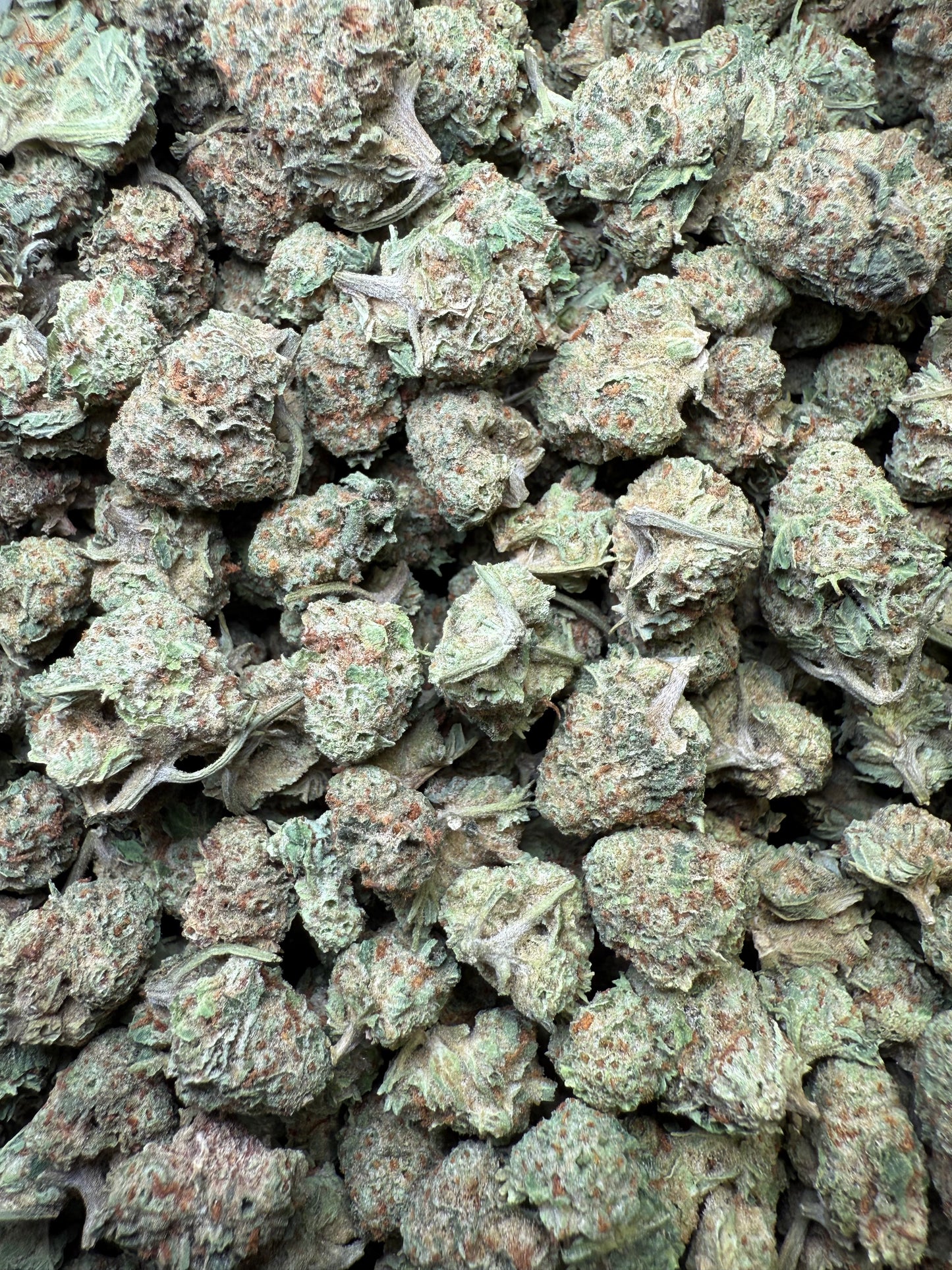 1 Pound - Abuela THCA Strain (Small) Frisco Labs