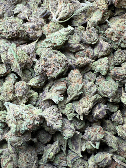 1 Pound - Abuela THCA Strain (Small) Frisco Labs