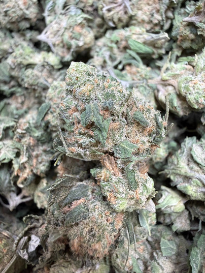 1 Pound - AAA Blue Nerdz Small FL Fulfillment Center