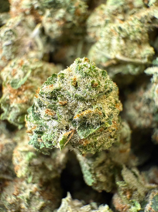 1 Pound - AAA Blue Tangie Zkittlez THCA (Small) Frisco Labs