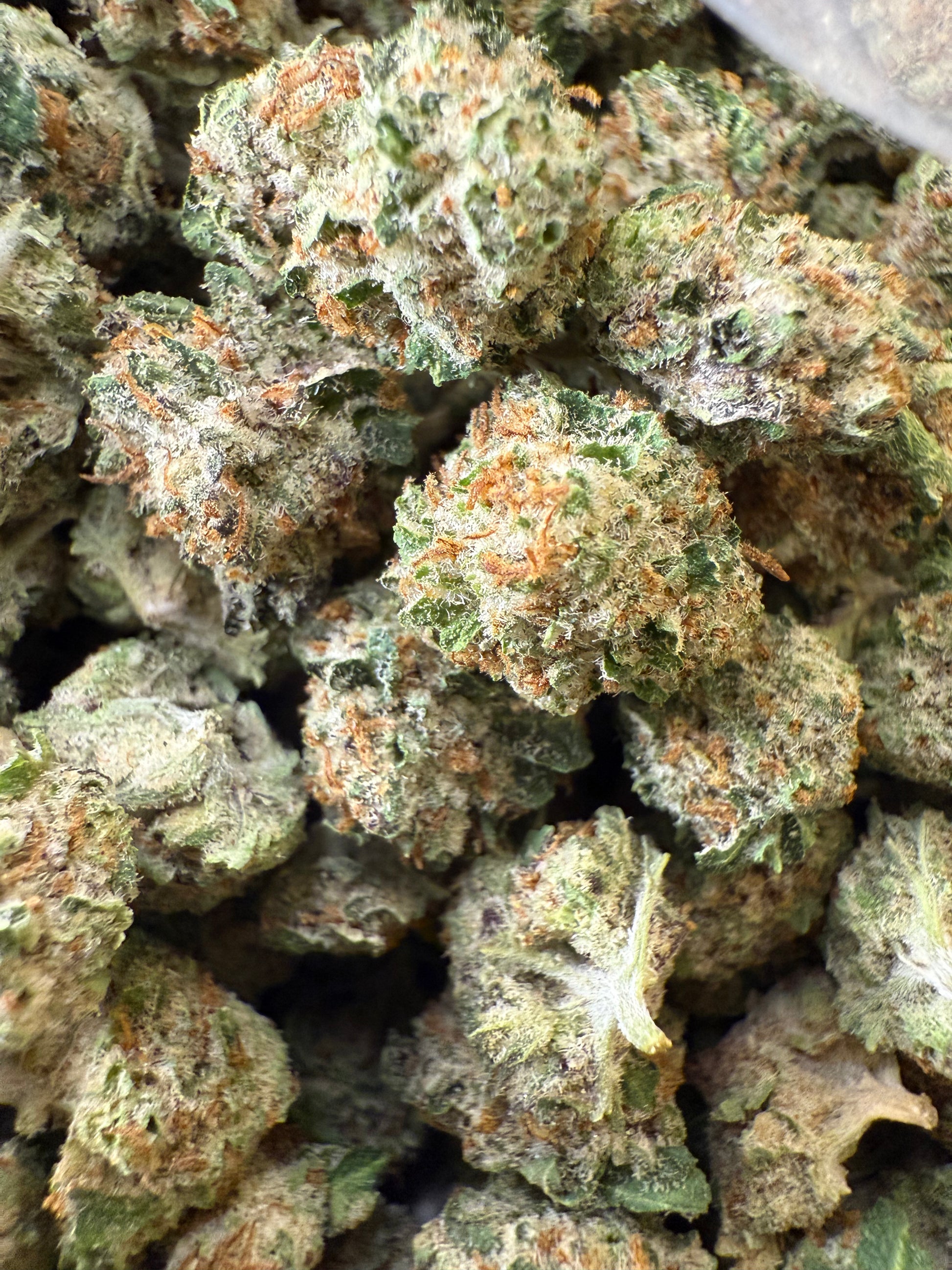 1 Pound - AAA Blue Tangie Zkittlez THCA (Small) Frisco Labs