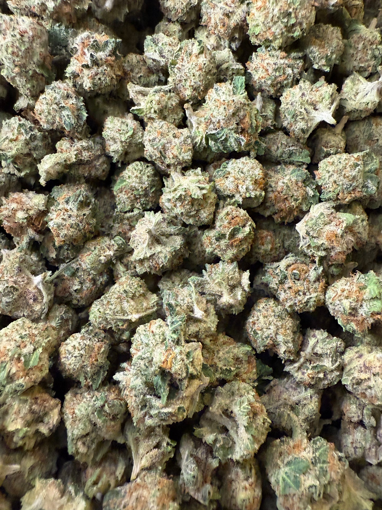 1 Pound - AAA Blue Tangie Zkittlez THCA (Small) Frisco Labs