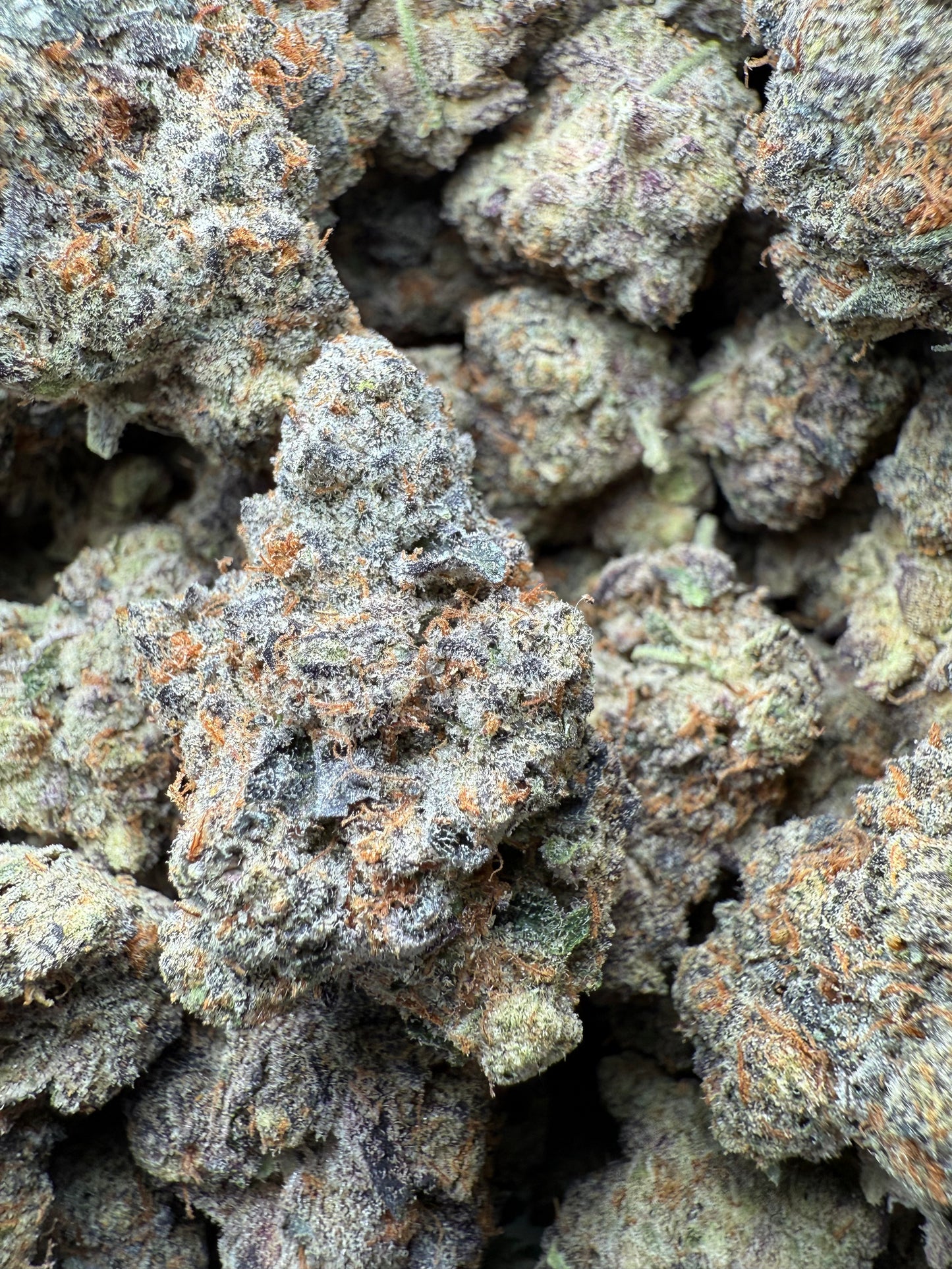 1 Pound AAA - Carbon Fiber THCA Strain Frisco Labs