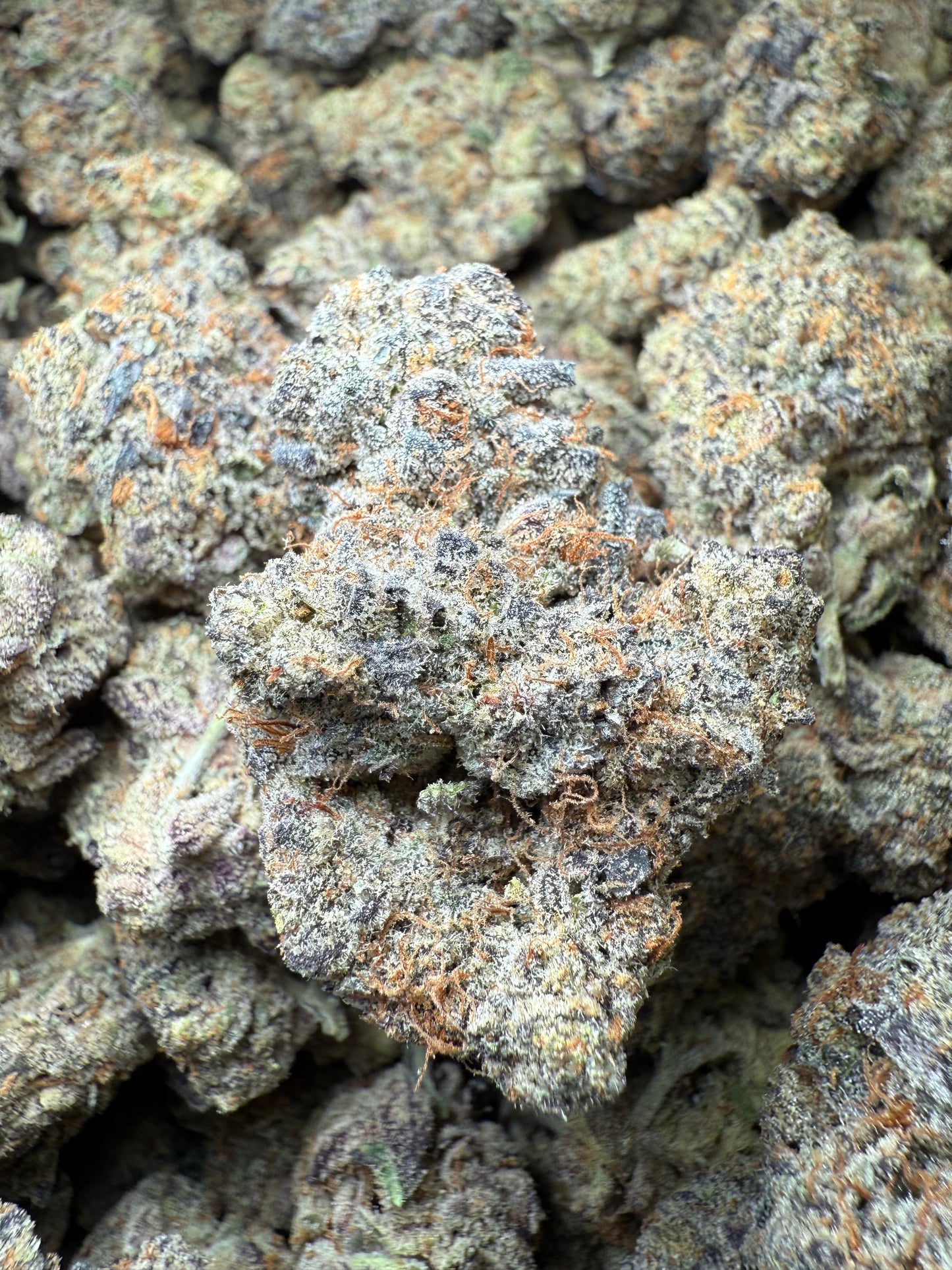 1 Pound AAA - Carbon Fiber THCA Strain Frisco Labs