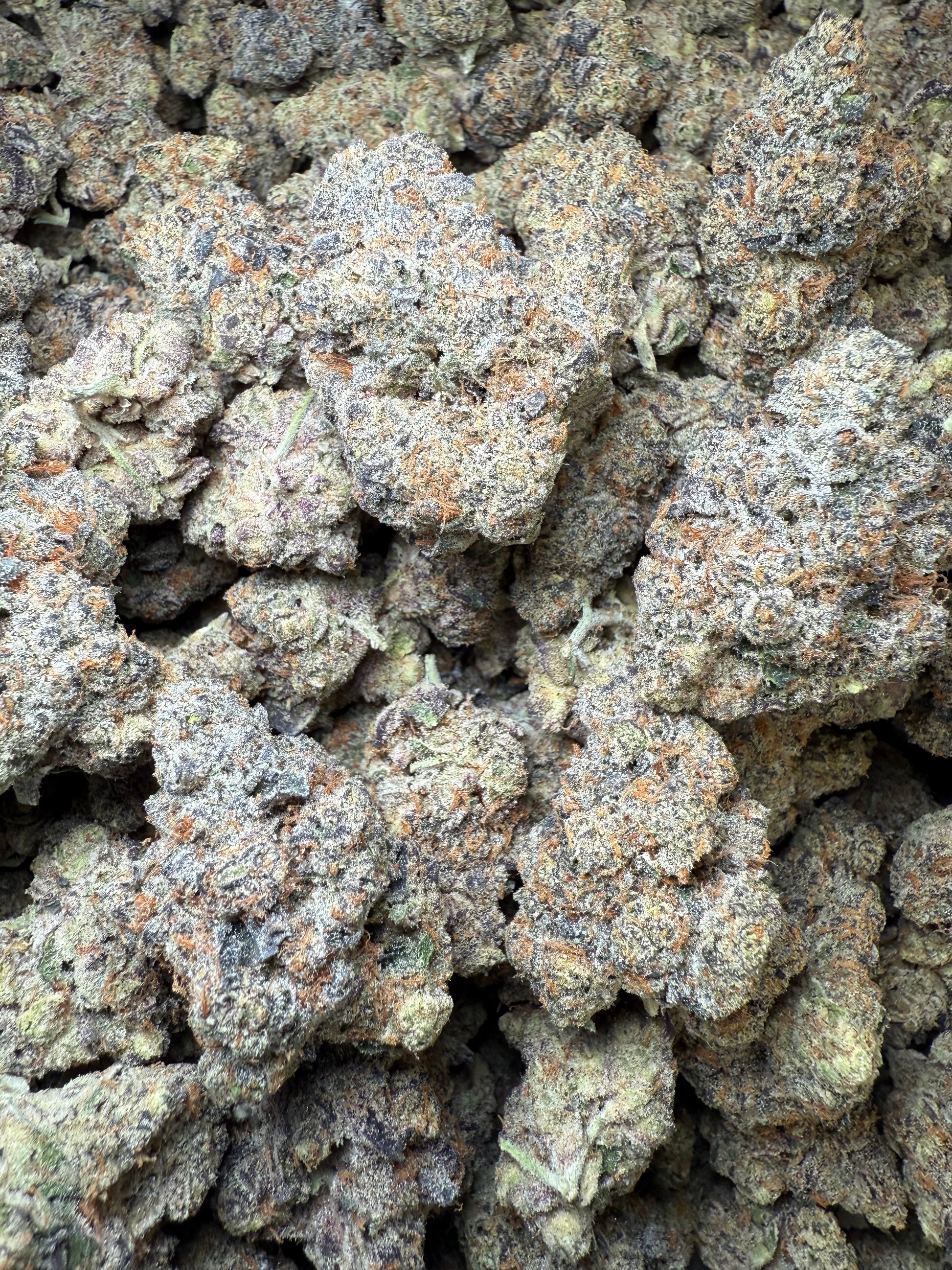 1 Pound AAA - Carbon Fiber THCA Strain Frisco Labs