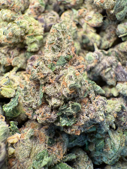 1 Pound AAA - Gary Payton Runtz THCA Strain (Small) Frisco Labs