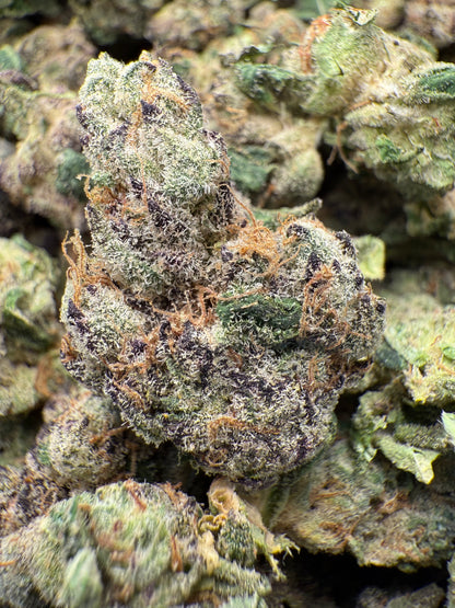 1 Pound AAA - Gary Payton Runtz THCA Strain (Small) Frisco Labs