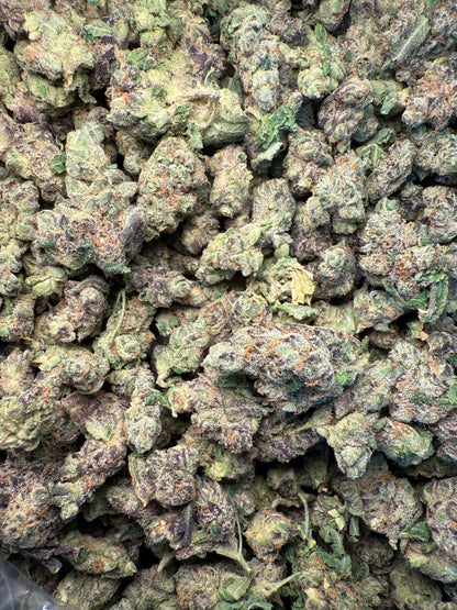 1 Pound AAA - Gary Payton Runtz THCA Strain (Small) Frisco Labs