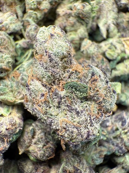 1 Pound AAA - Gary Payton Runtz THCA Strain (Small) Frisco Labs