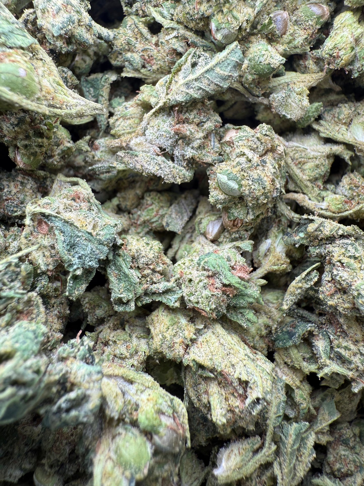 1 Pound - AAA - Georgia Pie THCA Strain (Smalls)- Frisco Labs Fulfillment Center