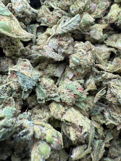 1 Pound - AAA - Georgia Pie THCA Strain (Smalls)- Frisco Labs Fulfillment Center