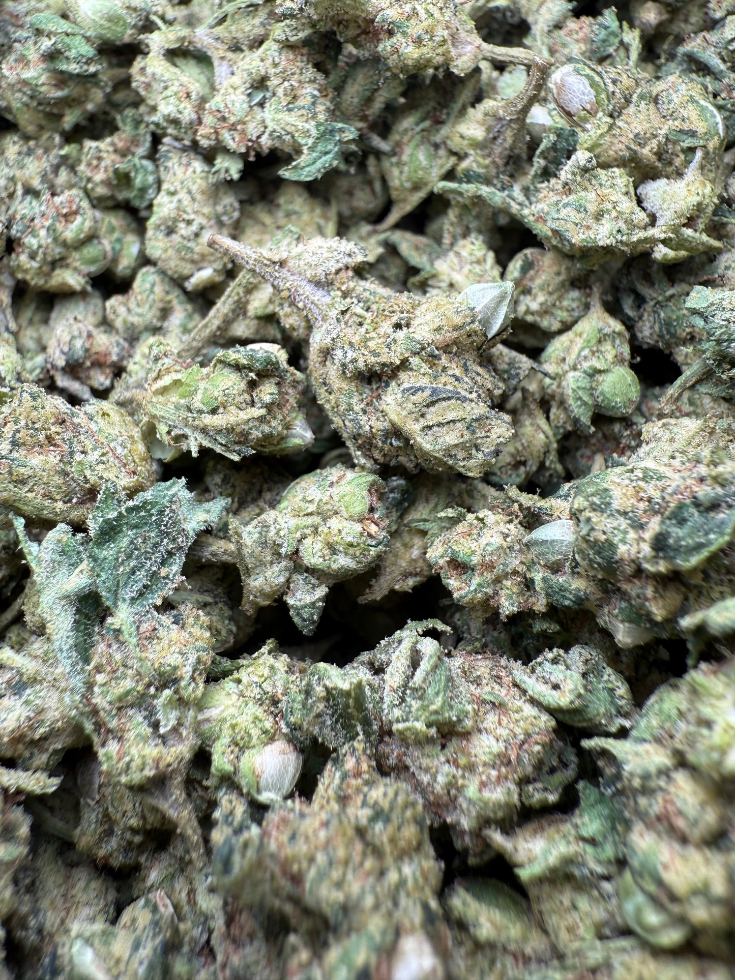 1 Pound - AAA - Georgia Pie THCA Strain (Smalls)- Frisco Labs Fulfillment Center