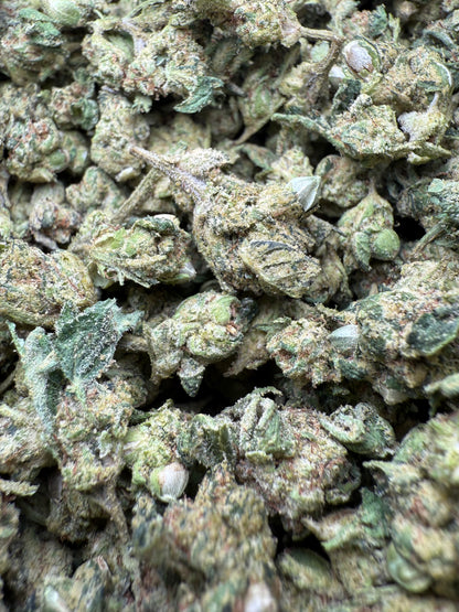 1 Pound - AAA - Georgia Pie THCA Strain (Smalls)- Frisco Labs Fulfillment Center