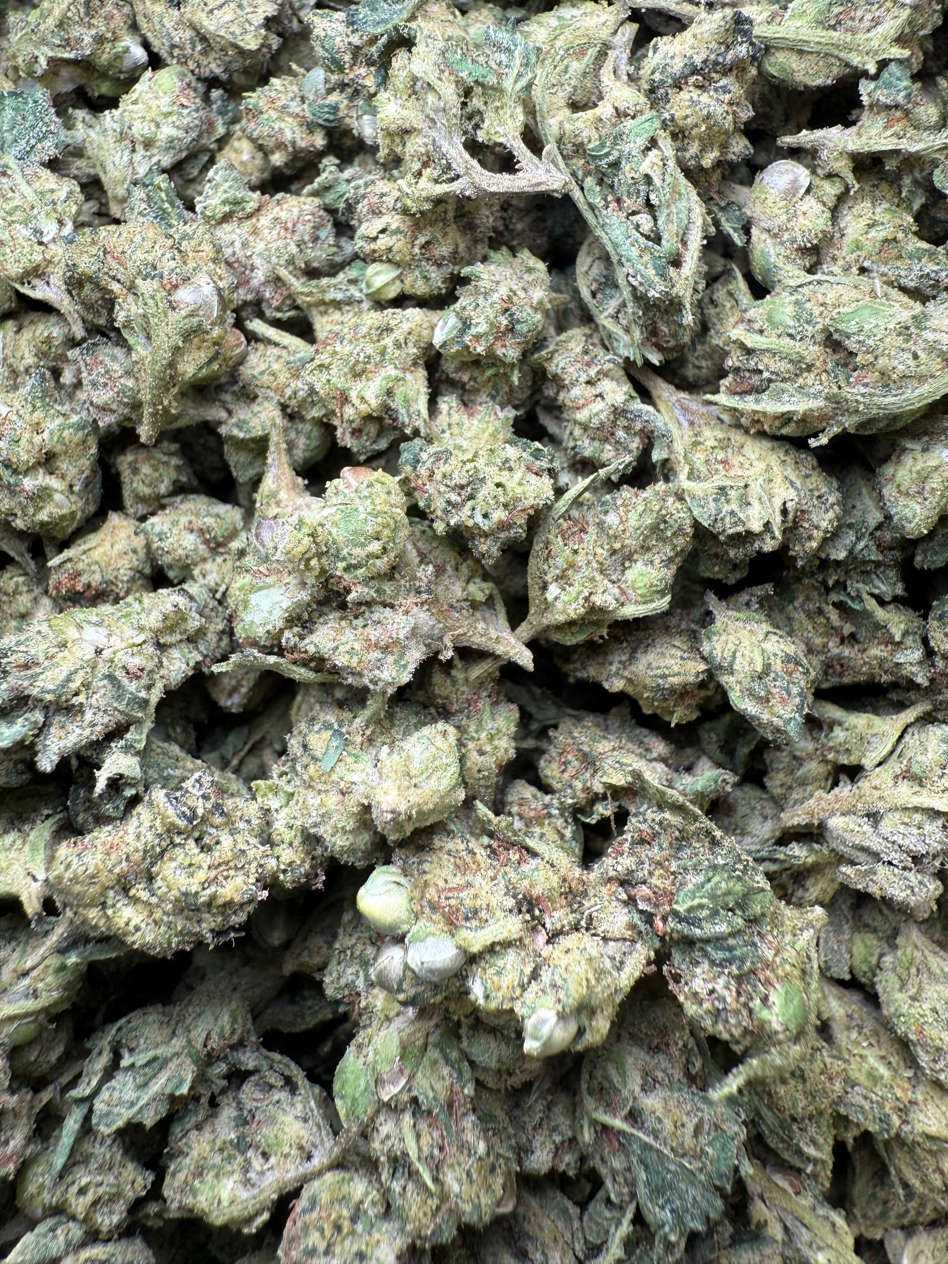 1 Pound - AAA - Georgia Pie THCA Strain (Smalls)- Frisco Labs Fulfillment Center