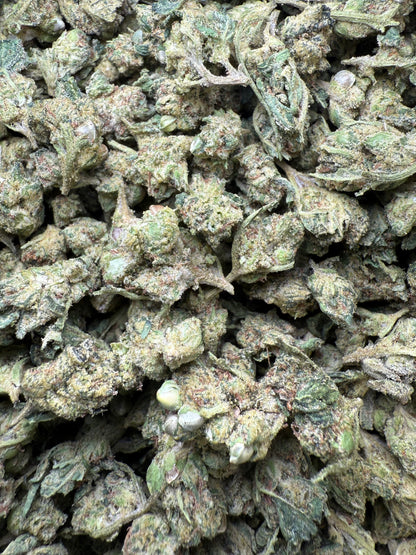 1 Pound - AAA - Georgia Pie THCA Strain (Smalls)- Frisco Labs Fulfillment Center