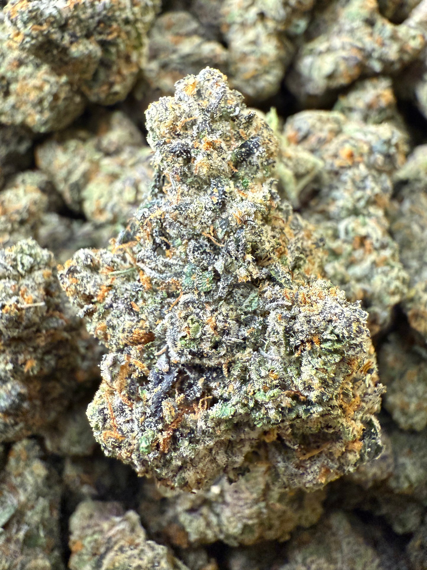 AAA Indoor Exotic - Bacio Gelato THCA Strain Frisco Labs