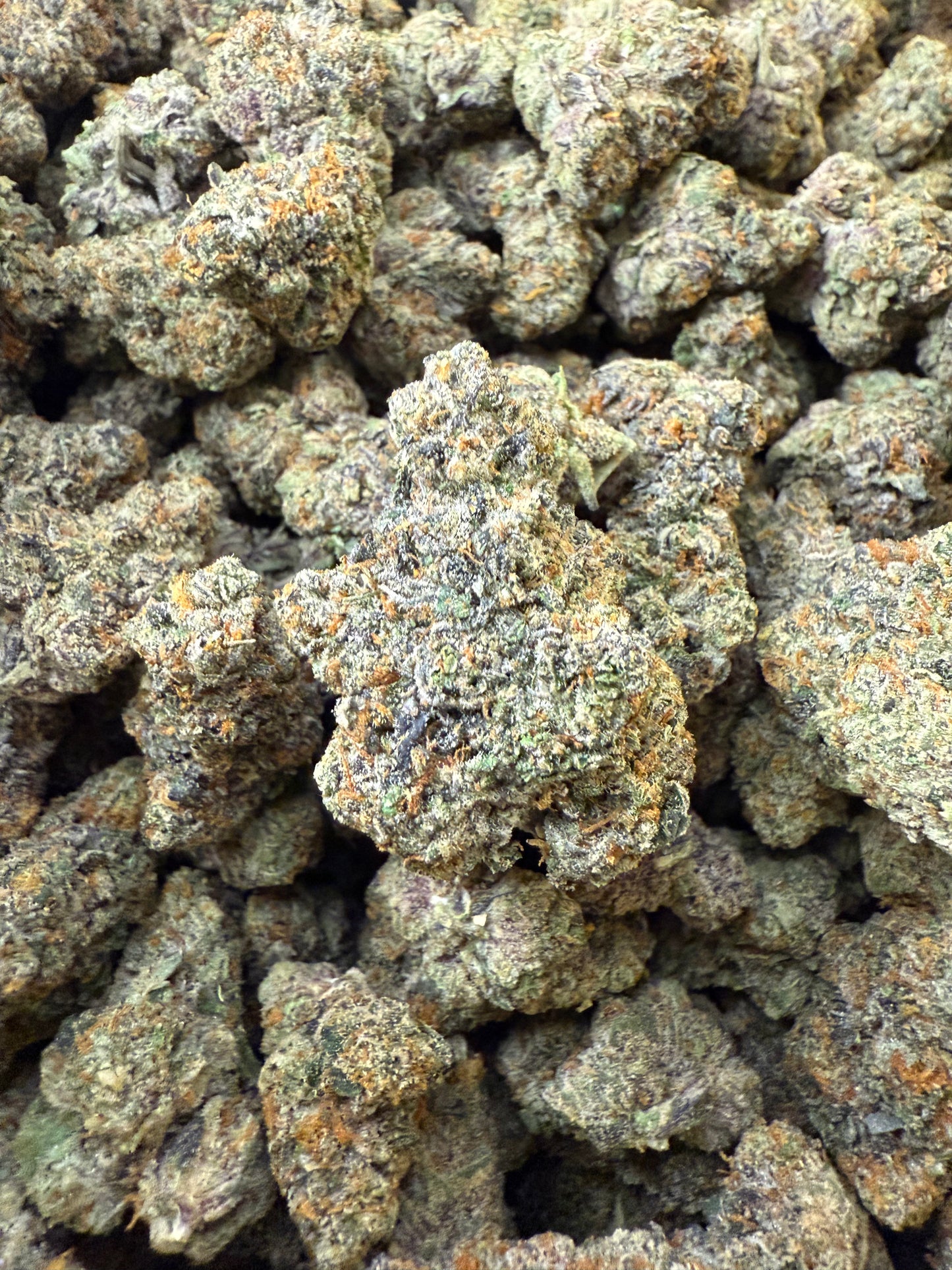 AAA Indoor Exotic - Bacio Gelato THCA Strain Frisco Labs