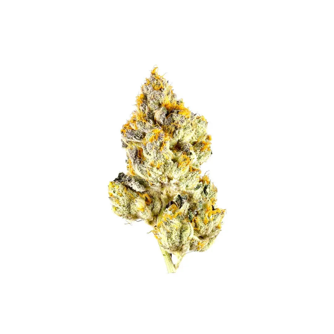 1 Pound - AAA Indoor Trump OG THCa -